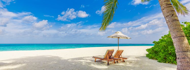 Erfahrungsbericht von Celina in Bali