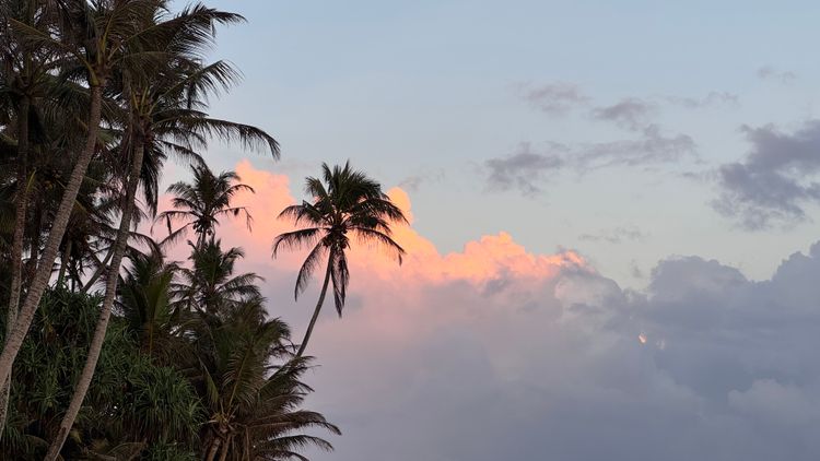 Erfahrungsbericht von Celina in Sri Lanka